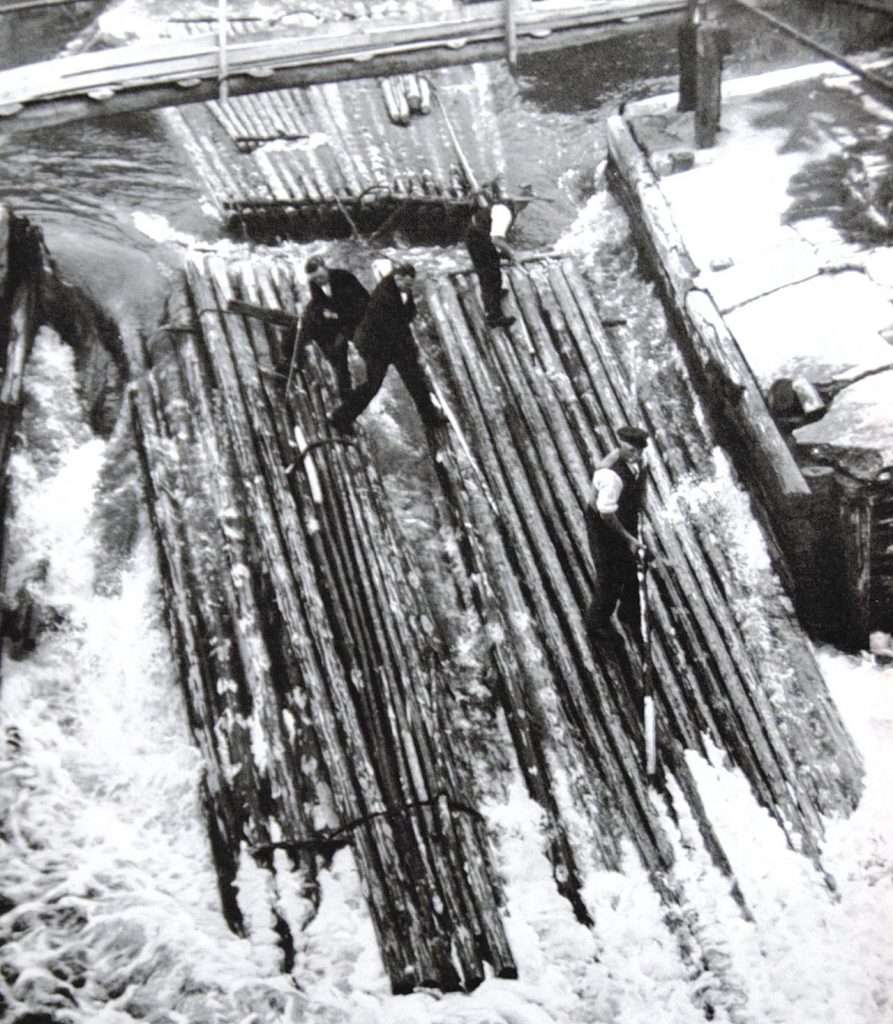 nadelwehr